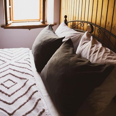 شقة Scardona Rustica, Bed & Breakfast With Jacuzzi, Bbq And Free Parking In Skradin, Krka المظهر الخارجي الصورة